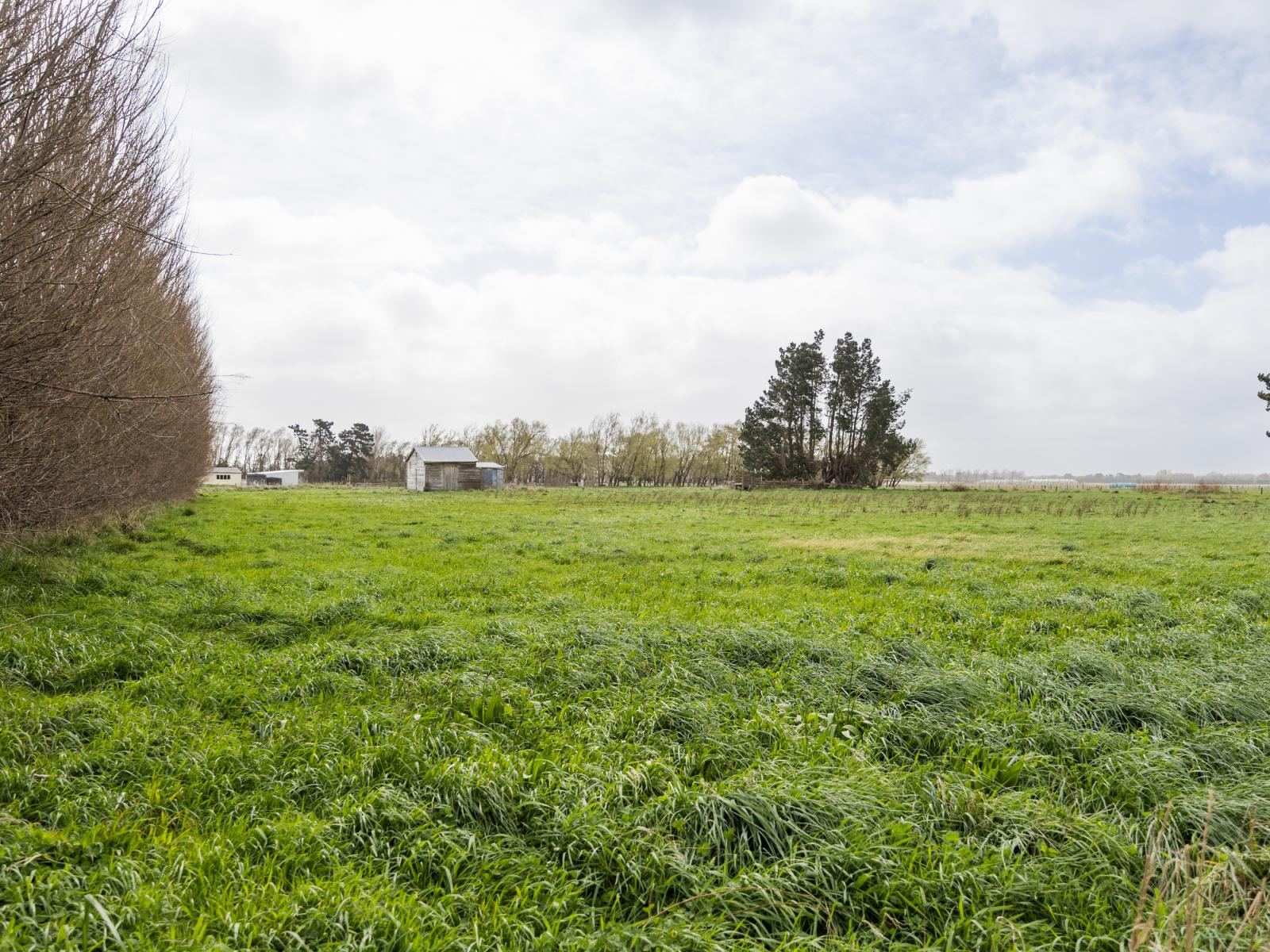 1351 Rongotea Road, Kairanga