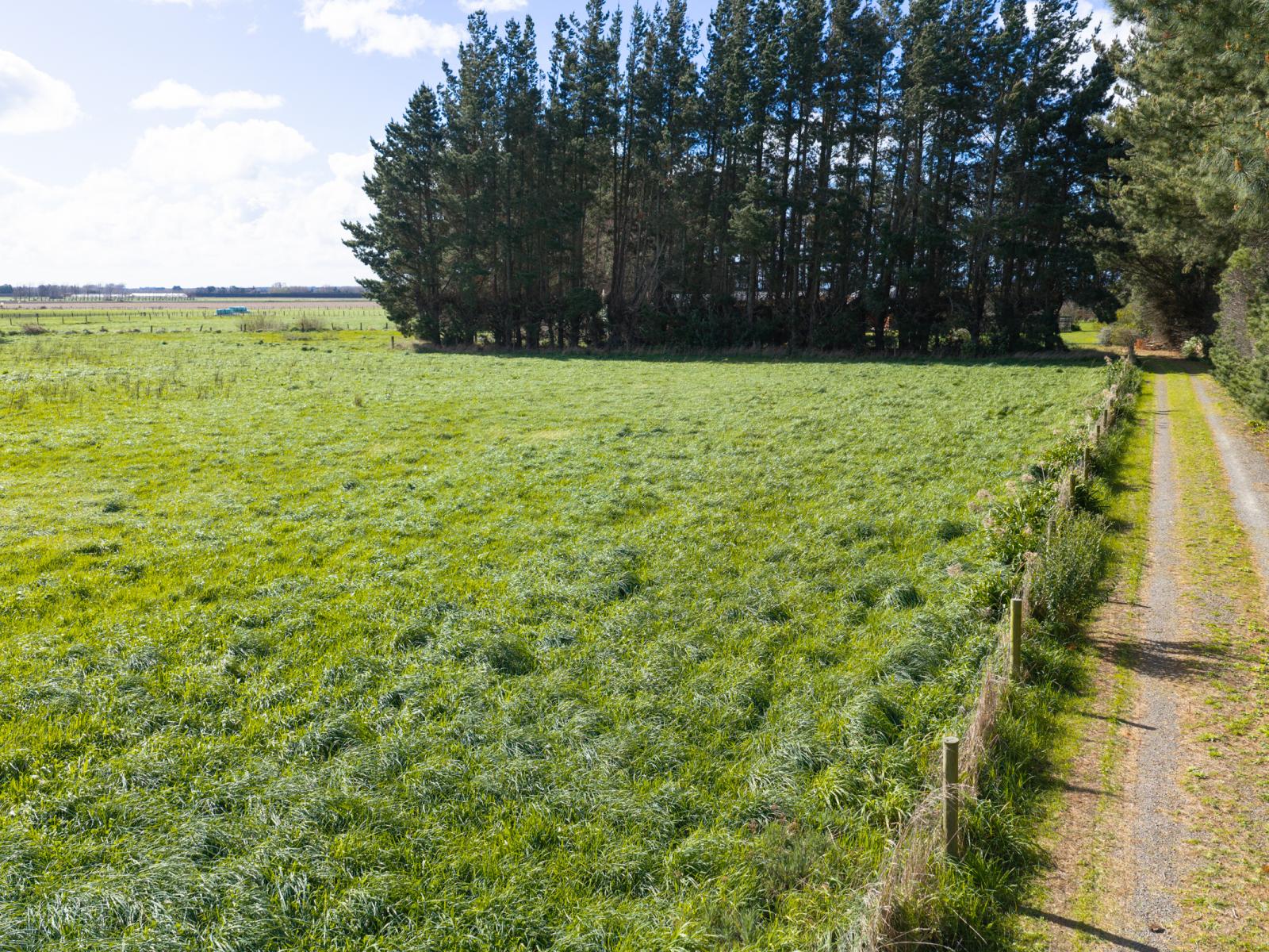 1351 Rongotea Road, Kairanga