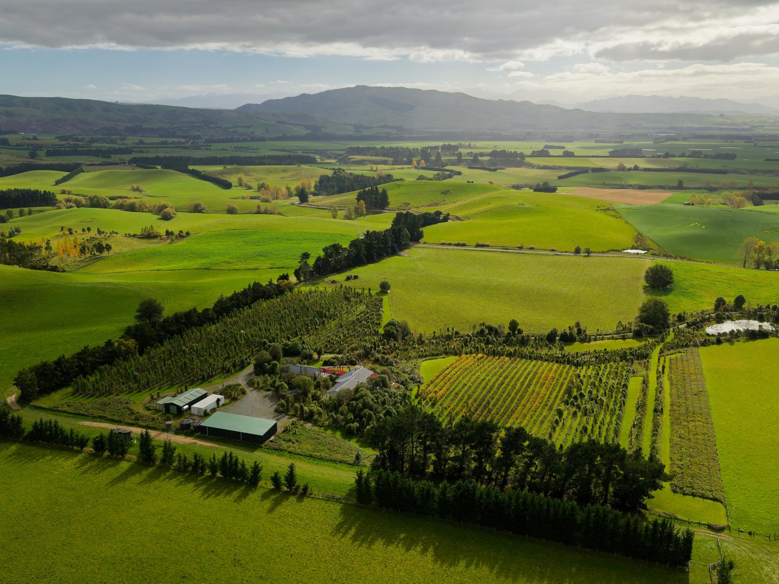 185 Sinclair Road, Cheviot