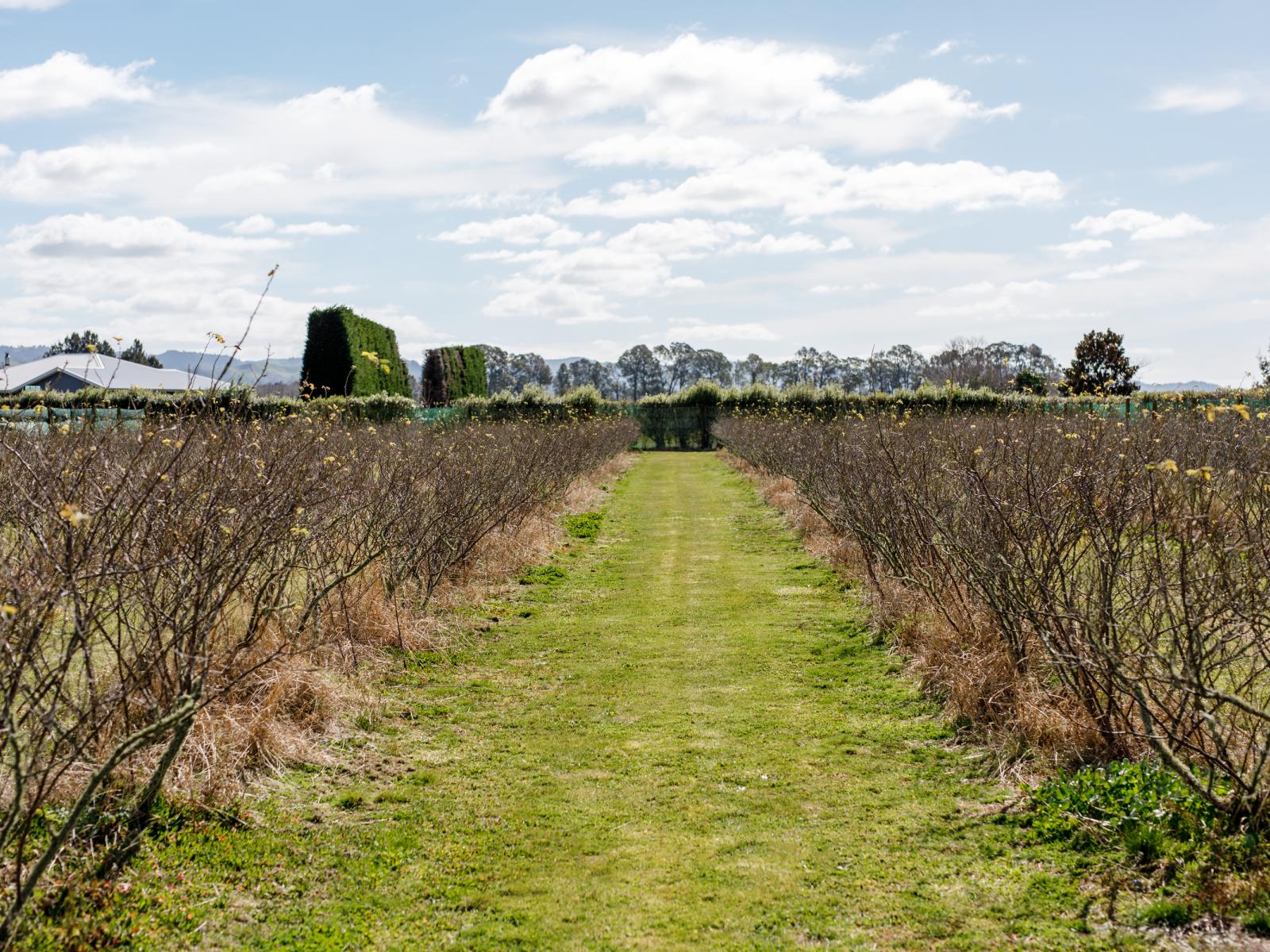 36 Hogbin Road, Te Teko