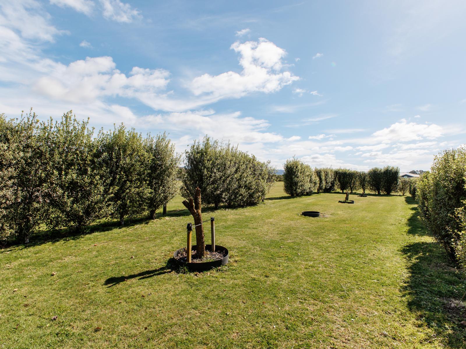 36 Hogbin Road, Te Teko