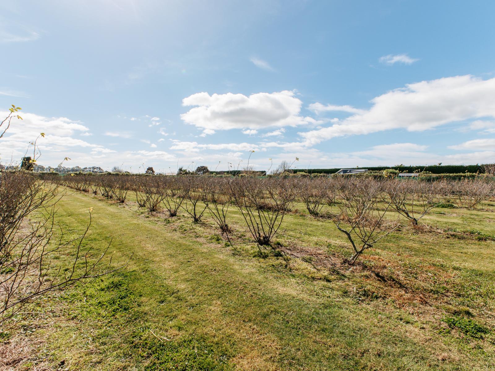 36 Hogbin Road, Te Teko