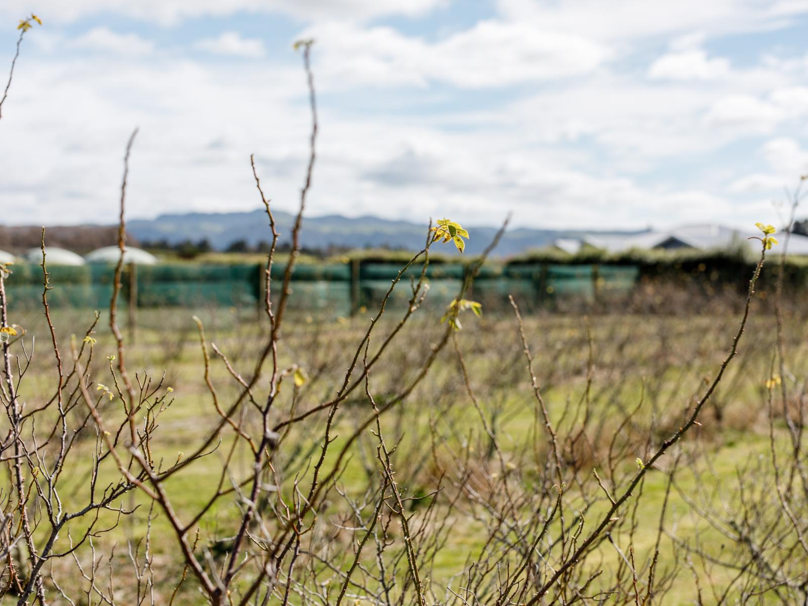 36 Hogbin Road, Te Teko