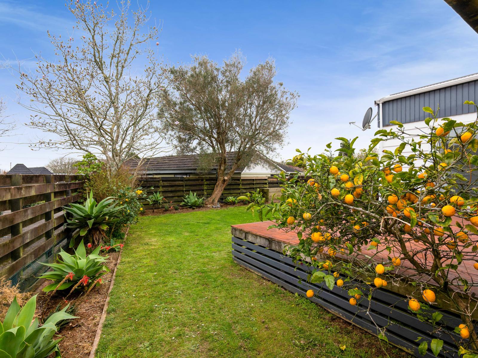 7 Rennell Street, Frankleigh Park