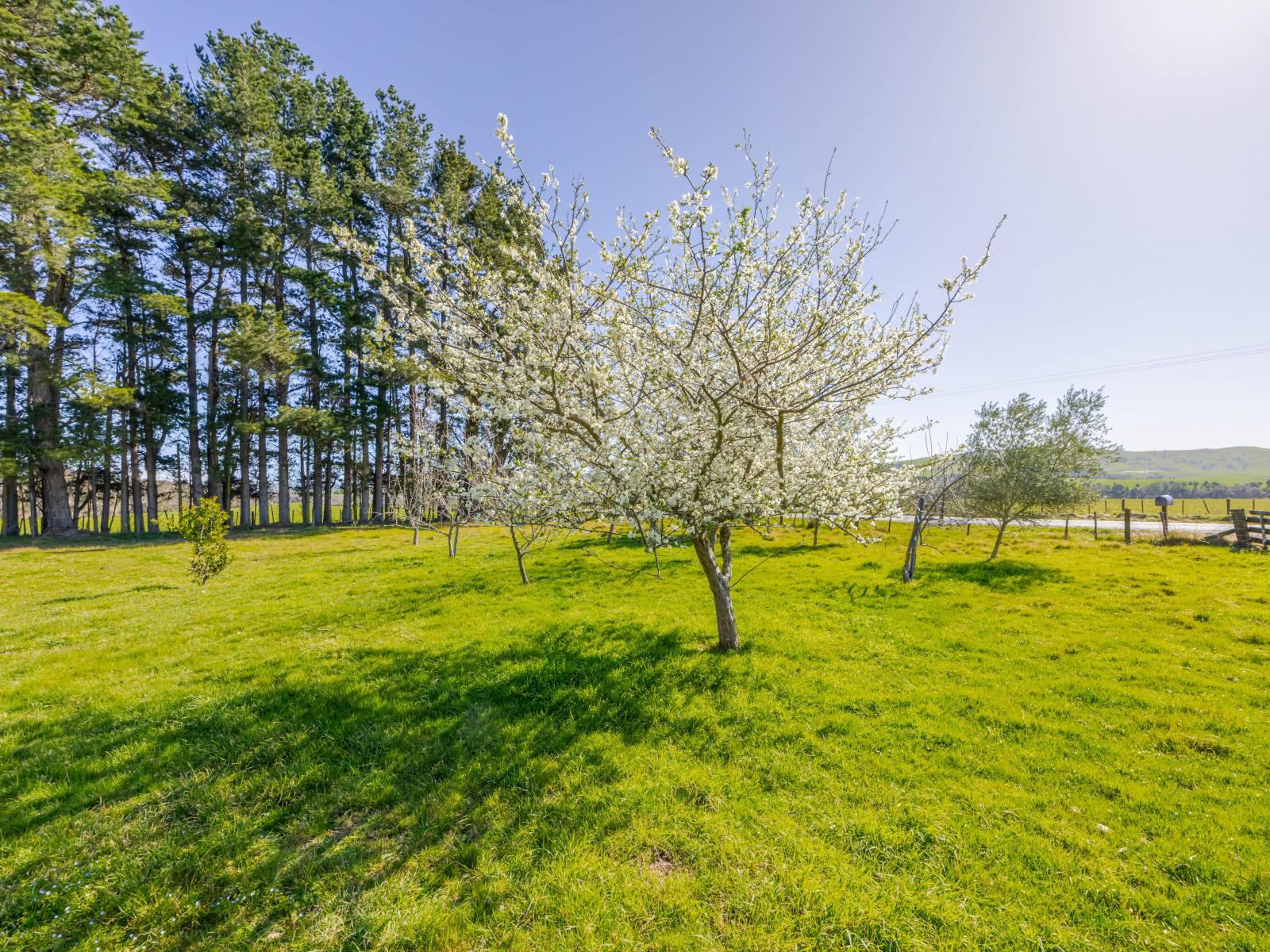 537 Lake Station Road, Flemington
