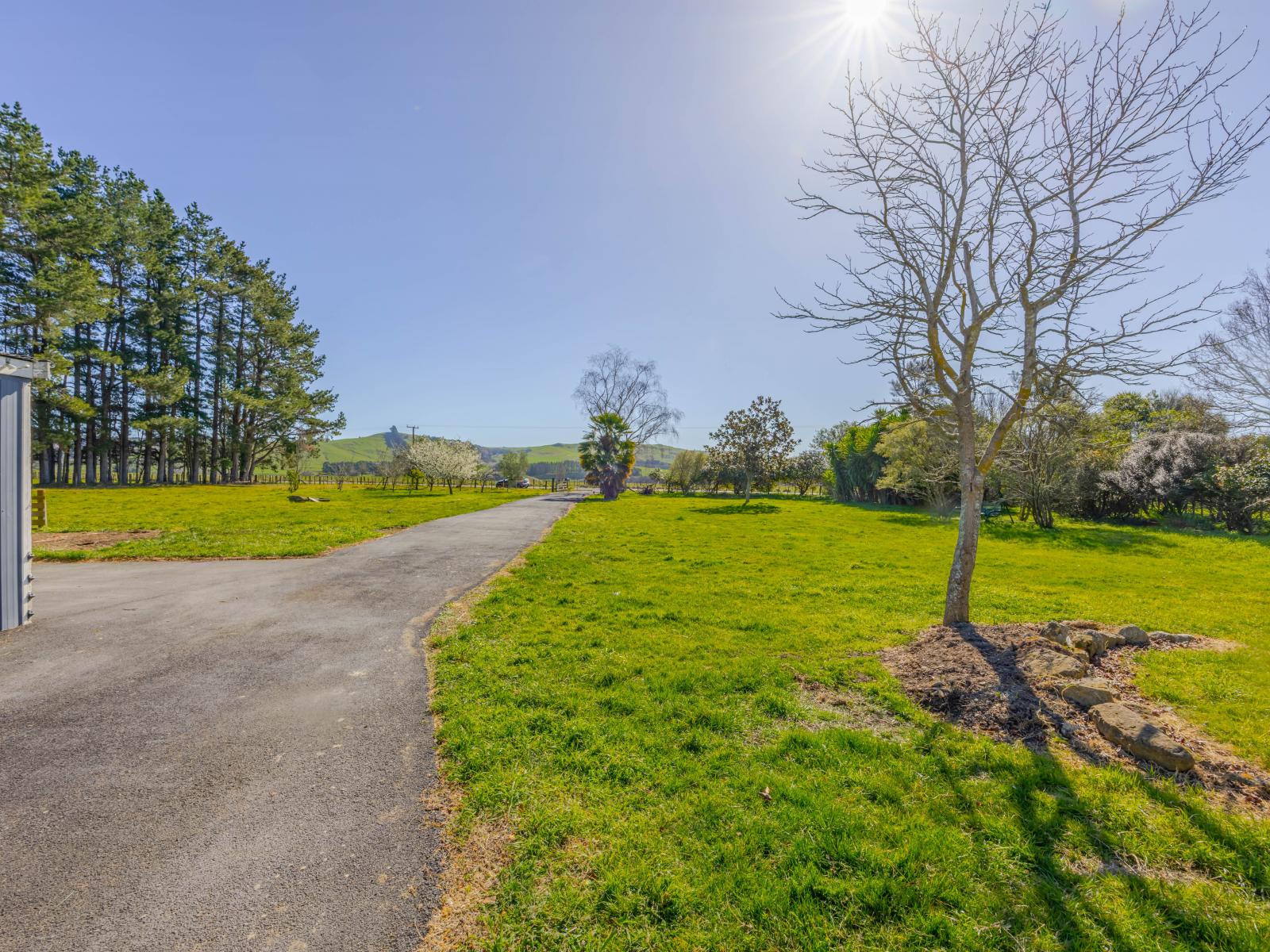 537 Lake Station Road, Flemington