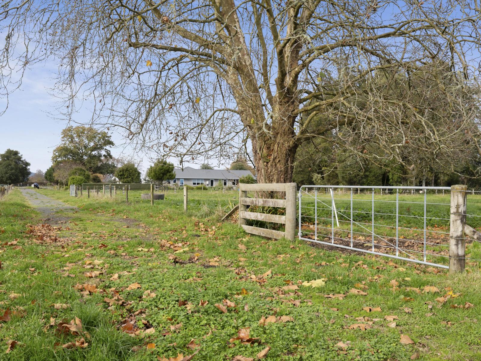 46B Hana Lane, Tamahere