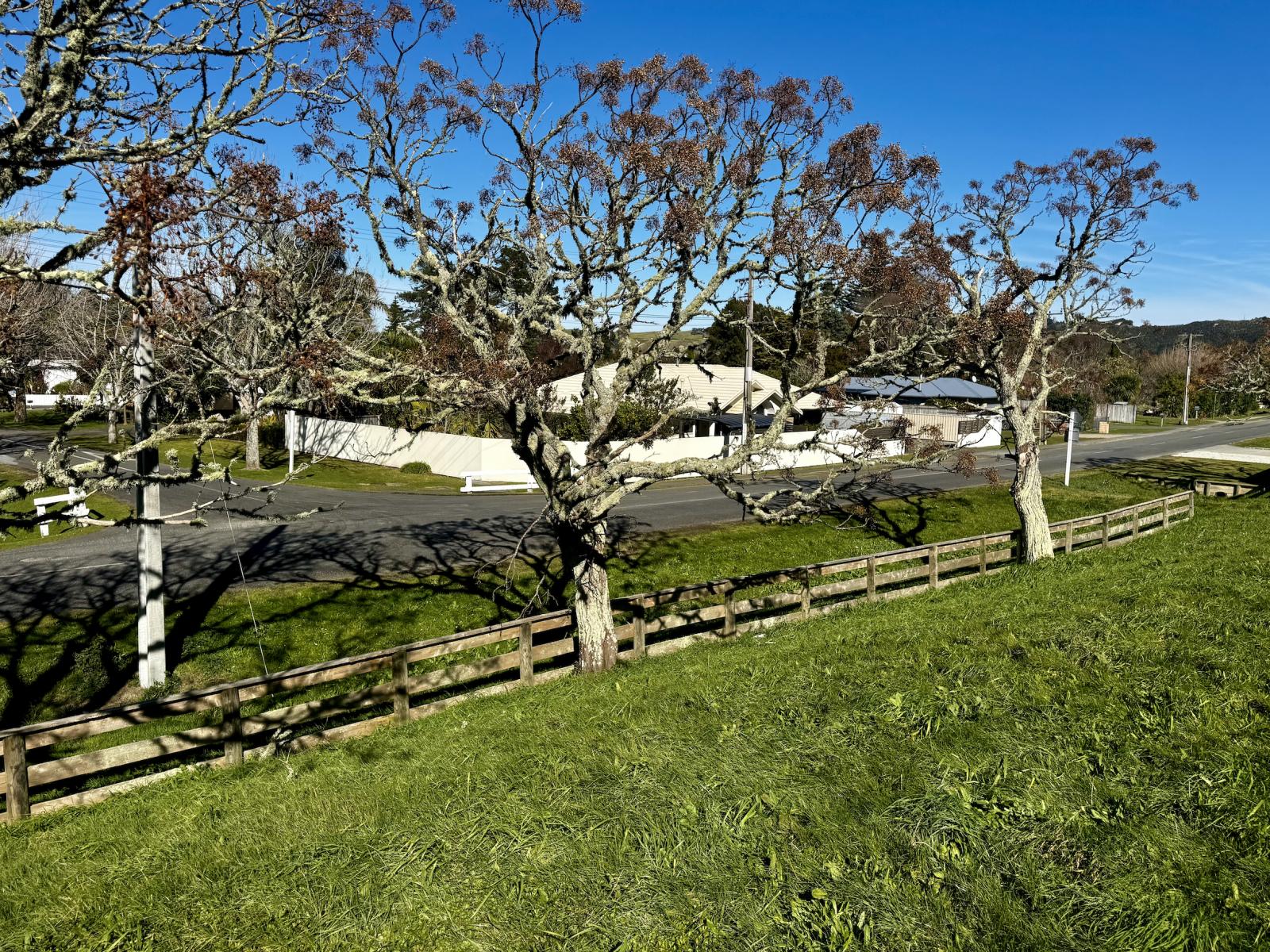 86 Riverside Road, Whataupoko