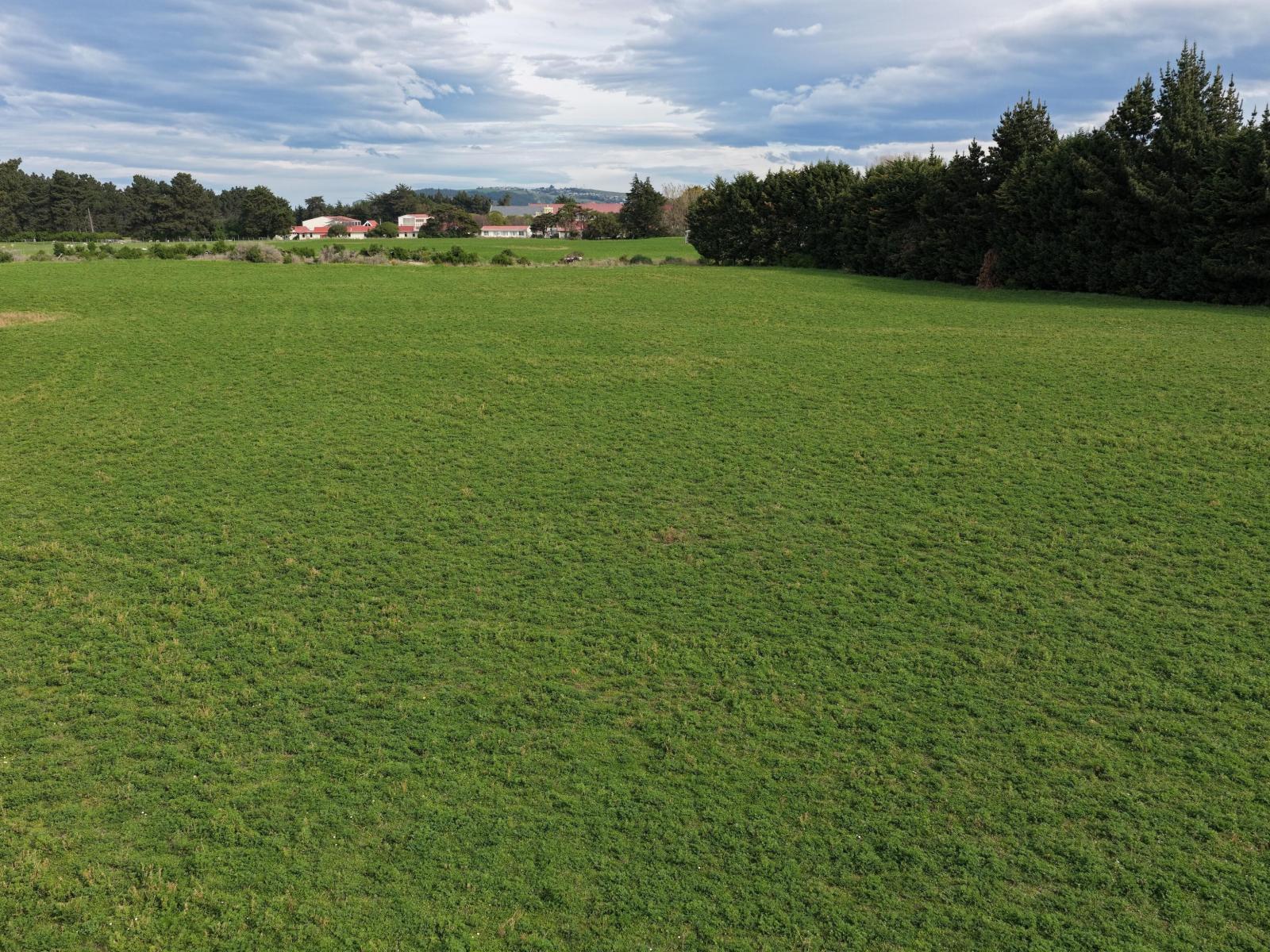 1A College Street, Oamaru North