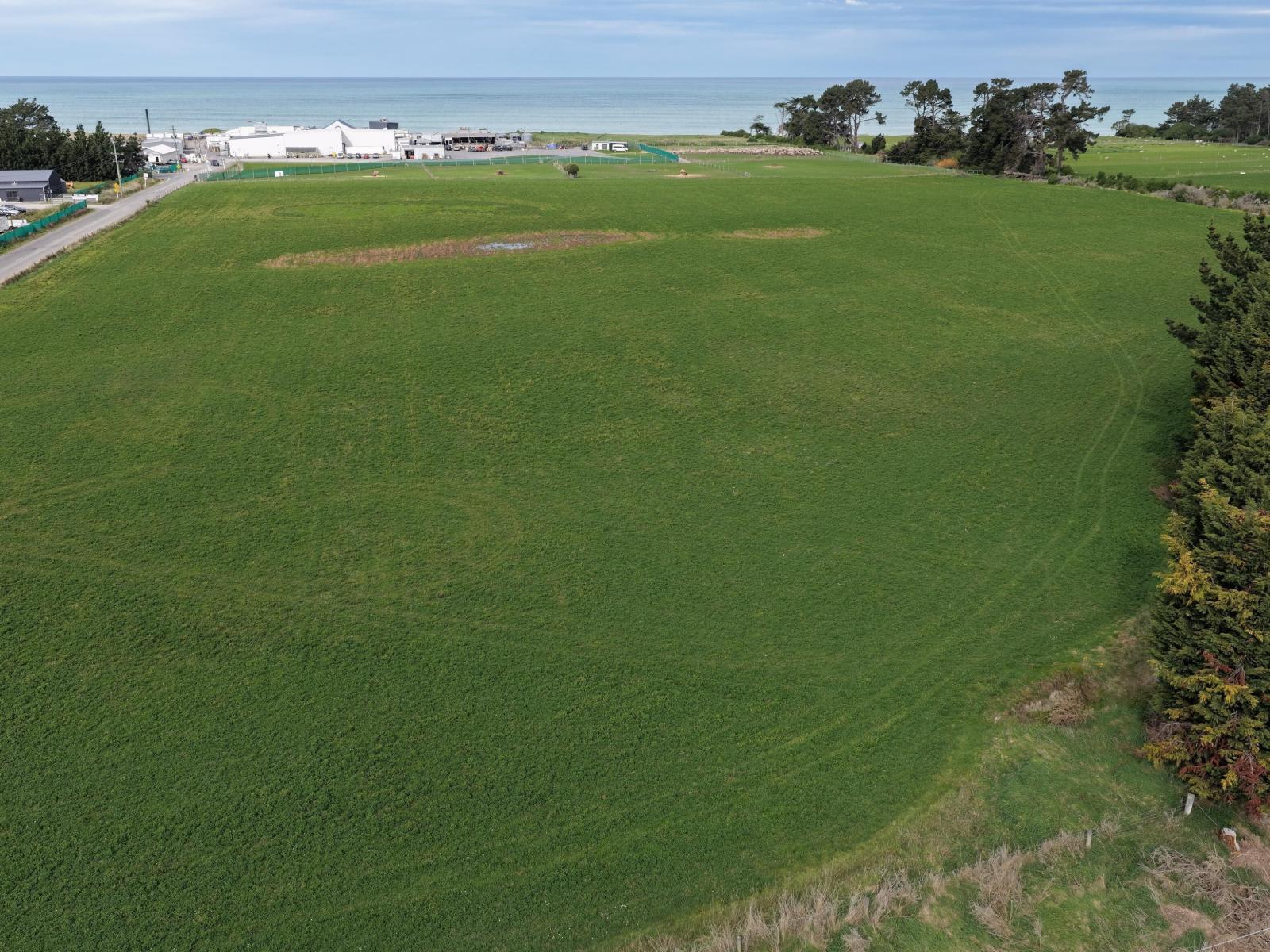 1A College Street, Oamaru North
