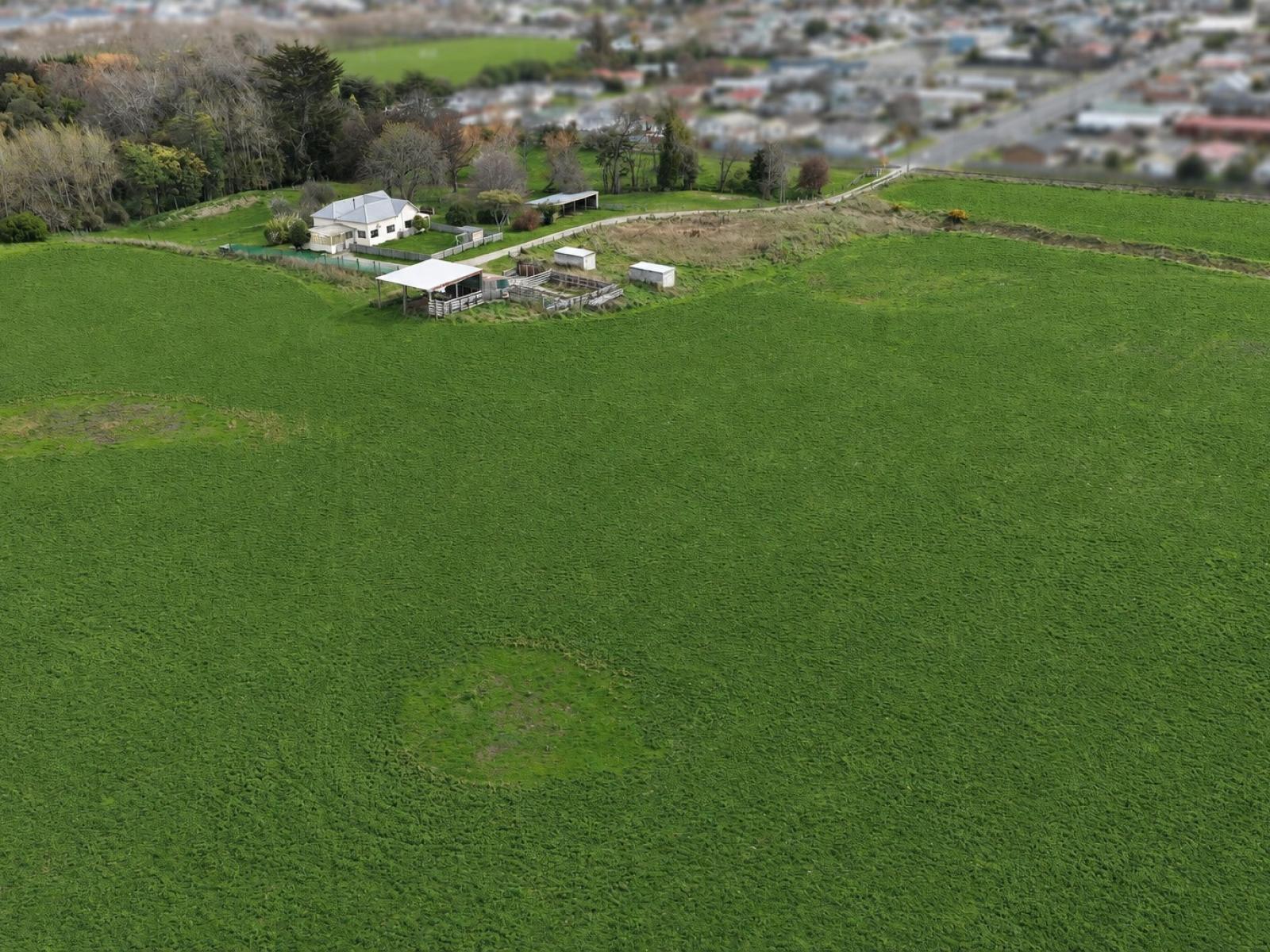 1A College Street, Oamaru North