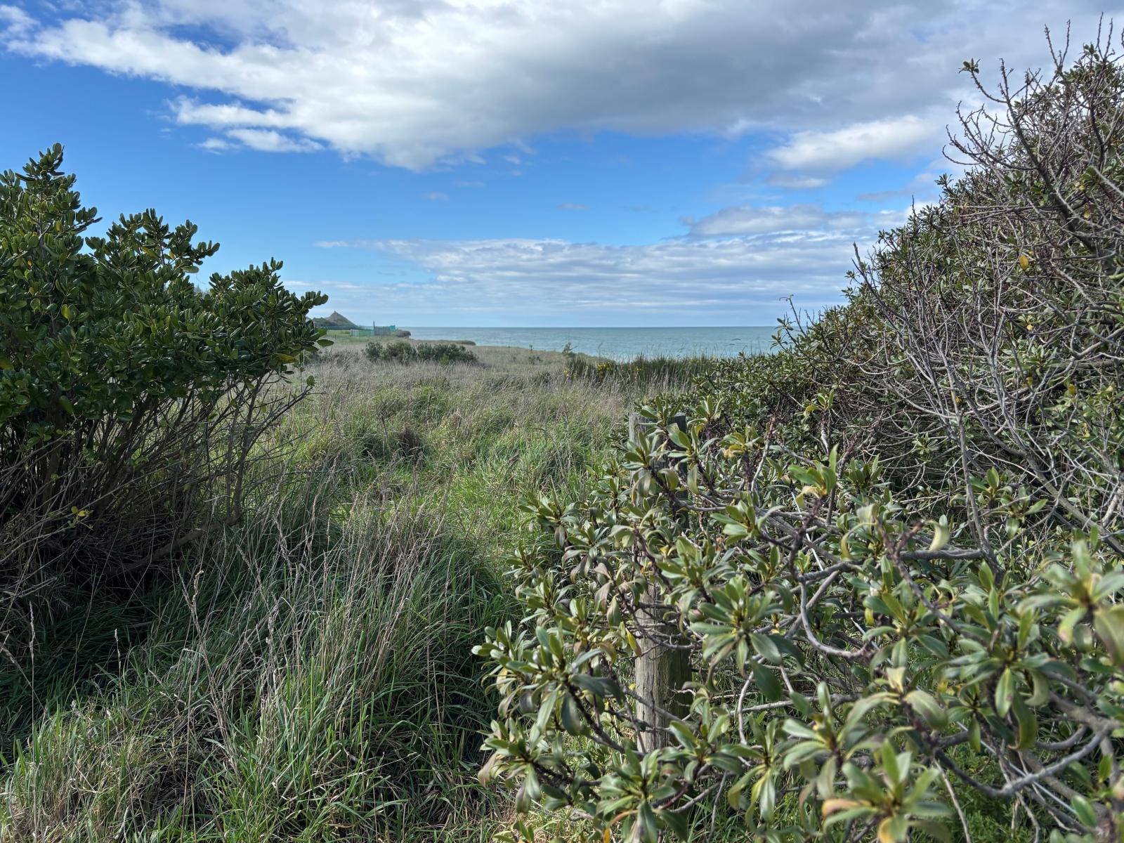 6 Caen Street, Oamaru North