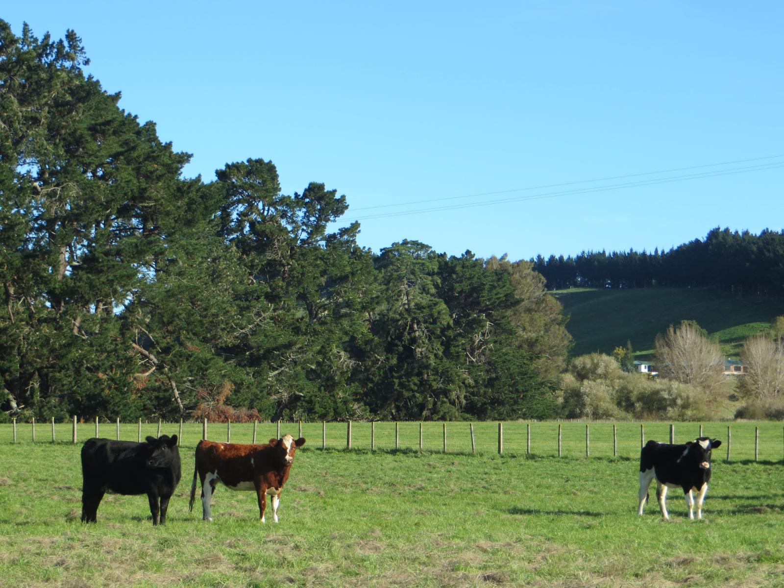 3245 State Highway 2, Takapau