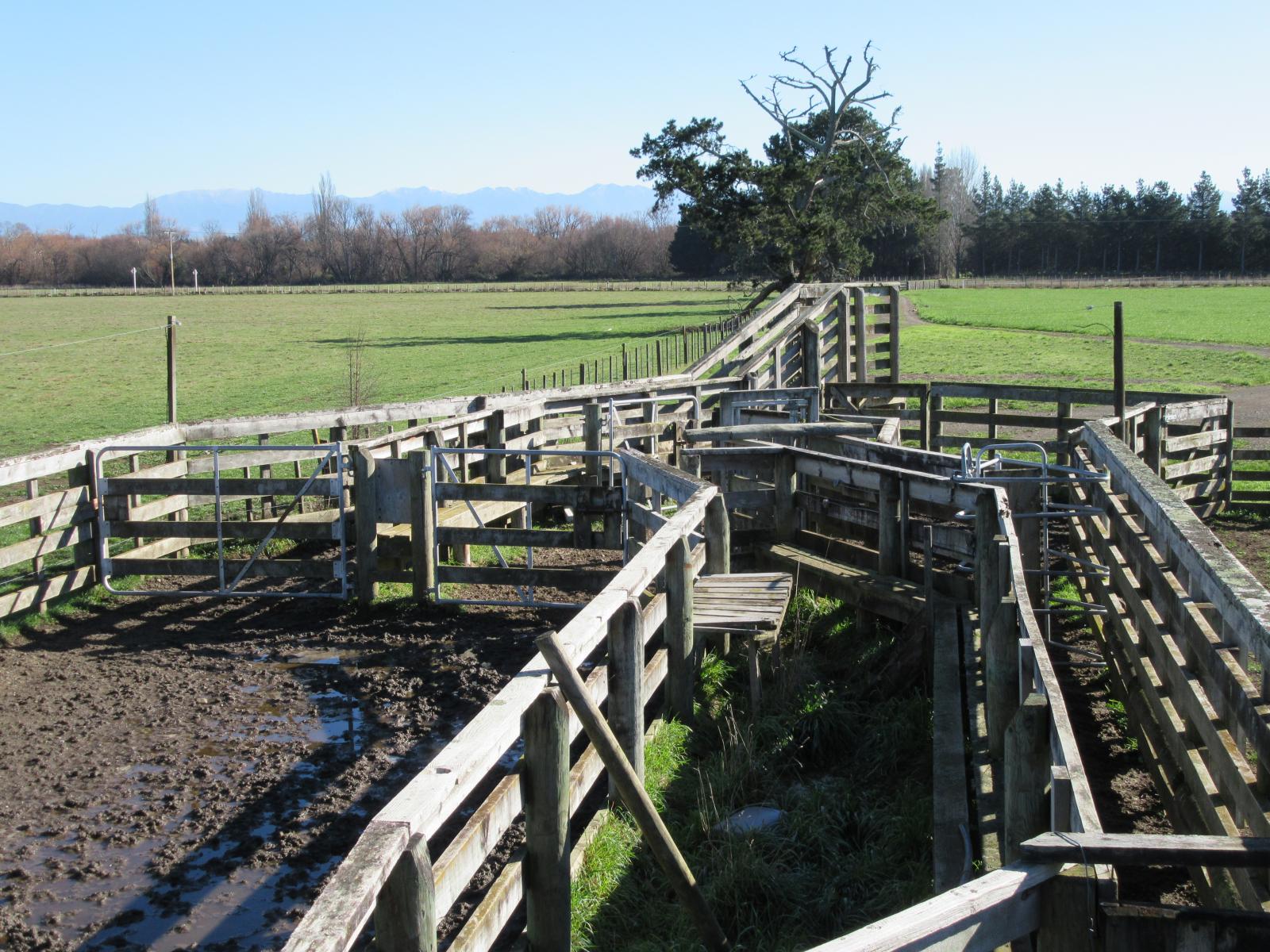3245 State Highway 2, Takapau