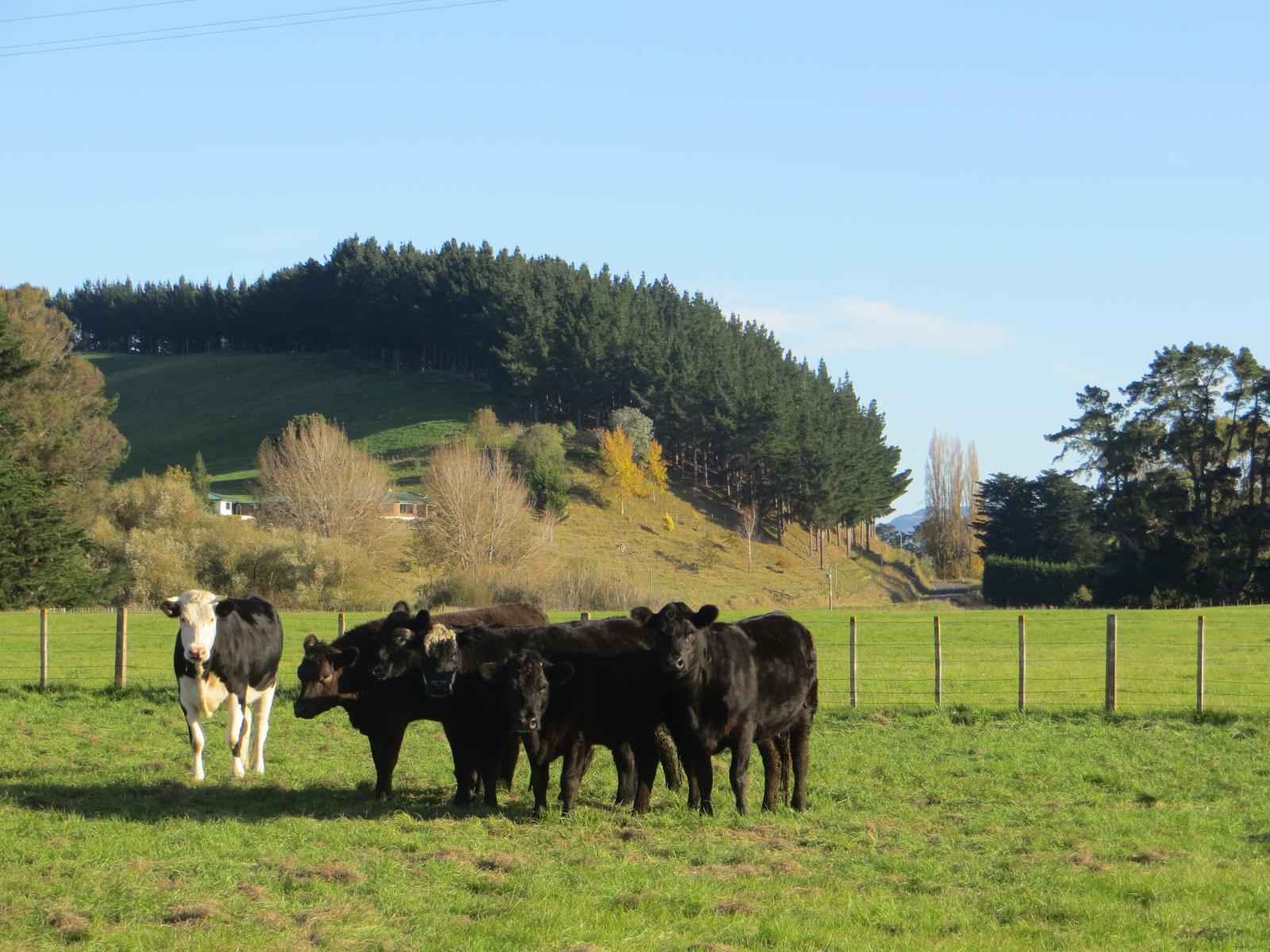 3245 State Highway 2, Takapau