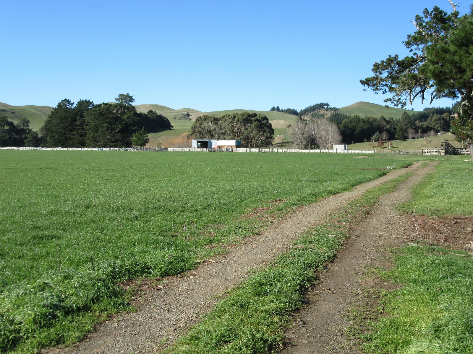 3245 State Highway 2, Takapau