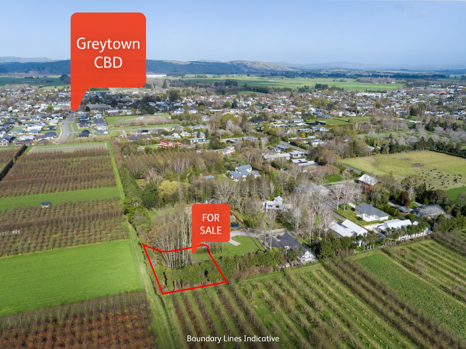15 Woodlands Way, Greytown