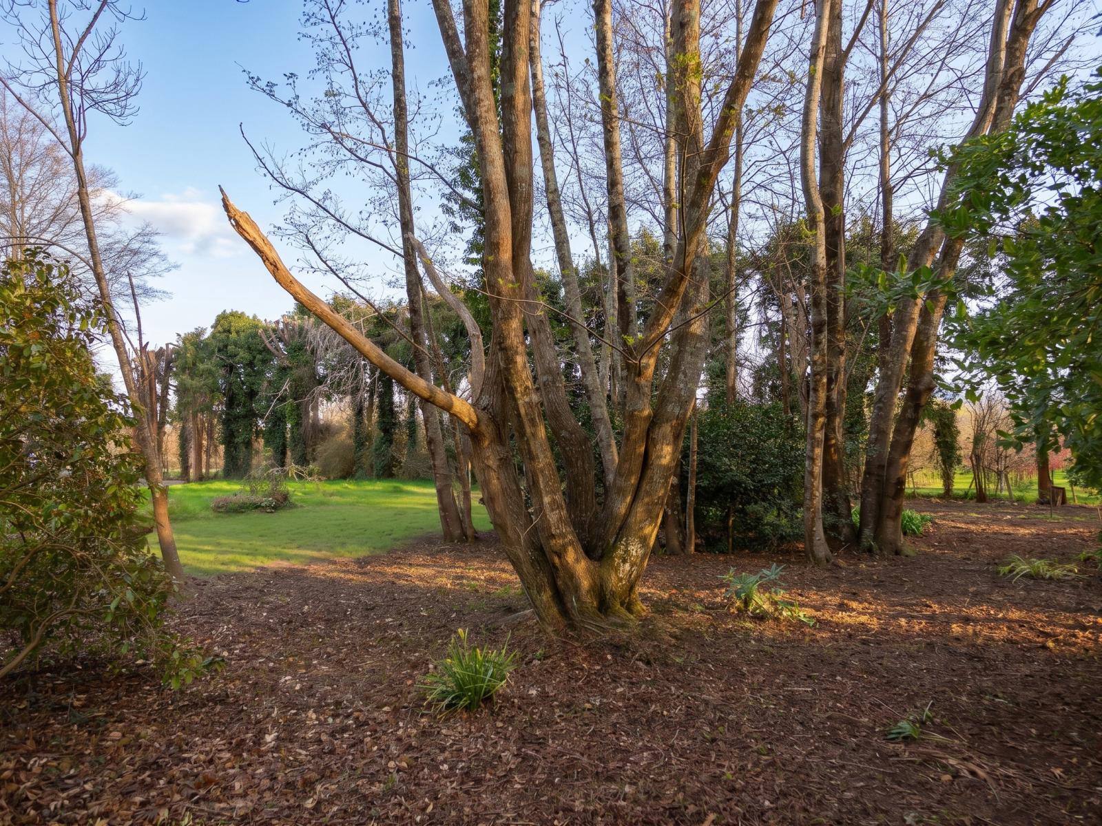 15 Woodlands Way, Greytown