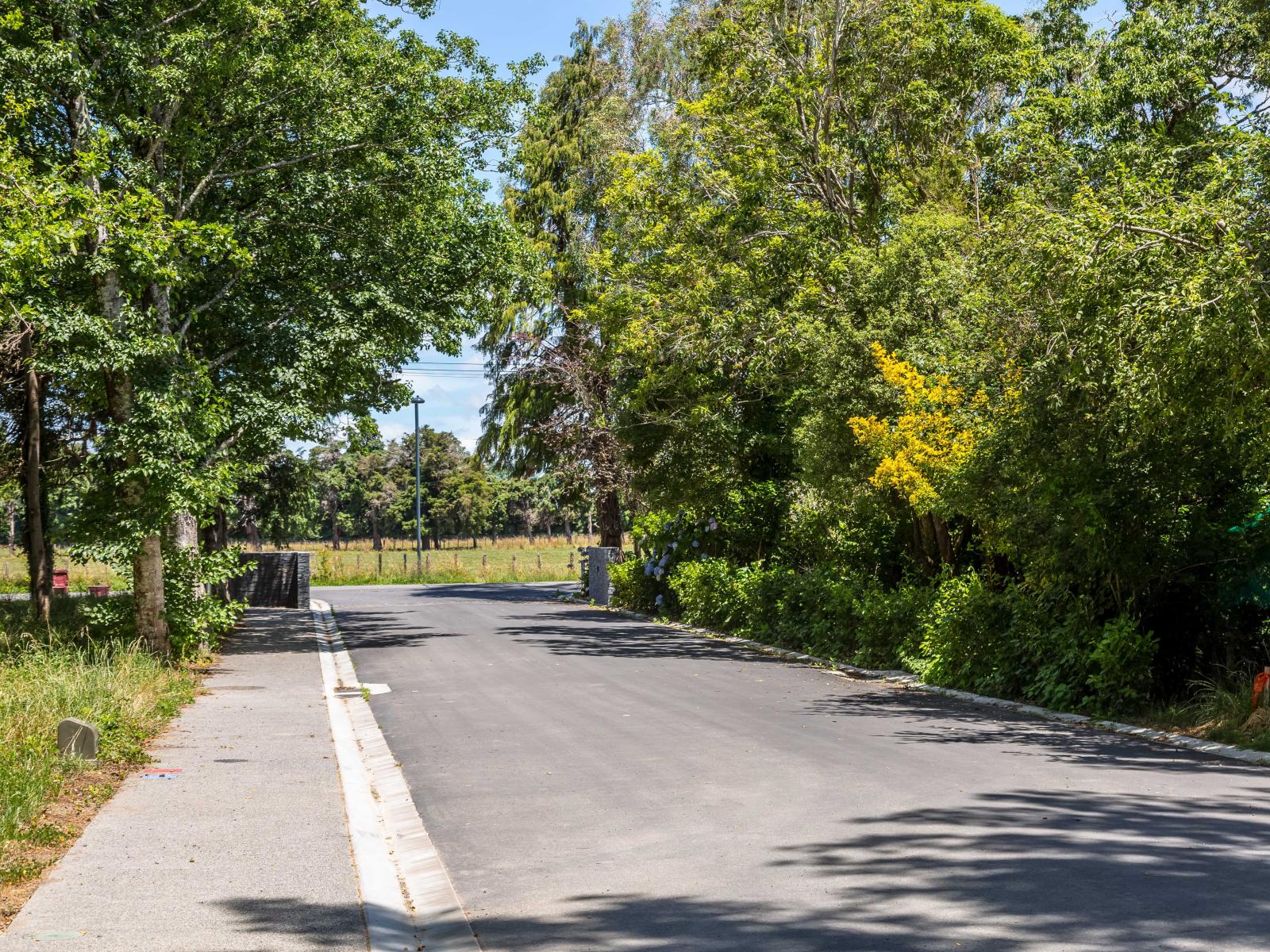 15 Woodlands Way, Greytown