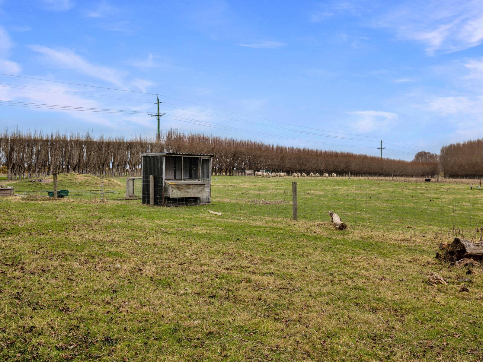 388 Leeston Road, Springston