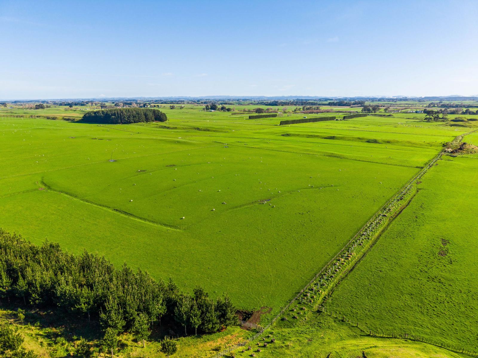 Marangai Road, Whangaehu