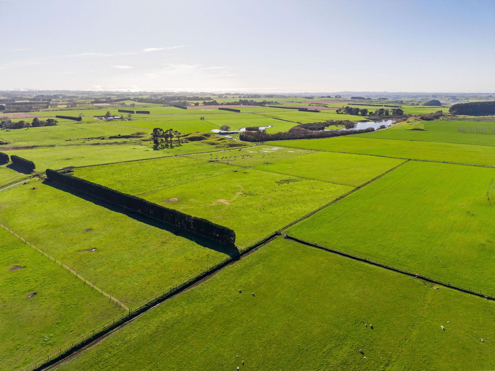 Marangai Road, Whangaehu