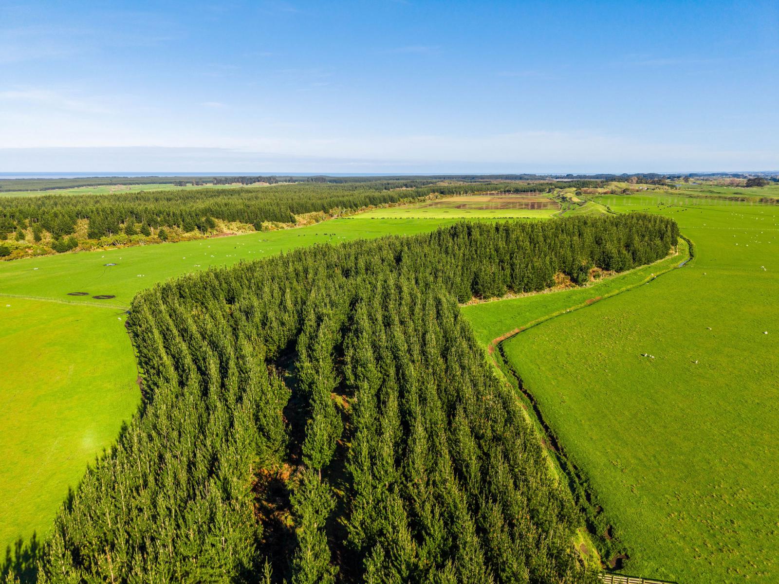Marangai Road, Whangaehu