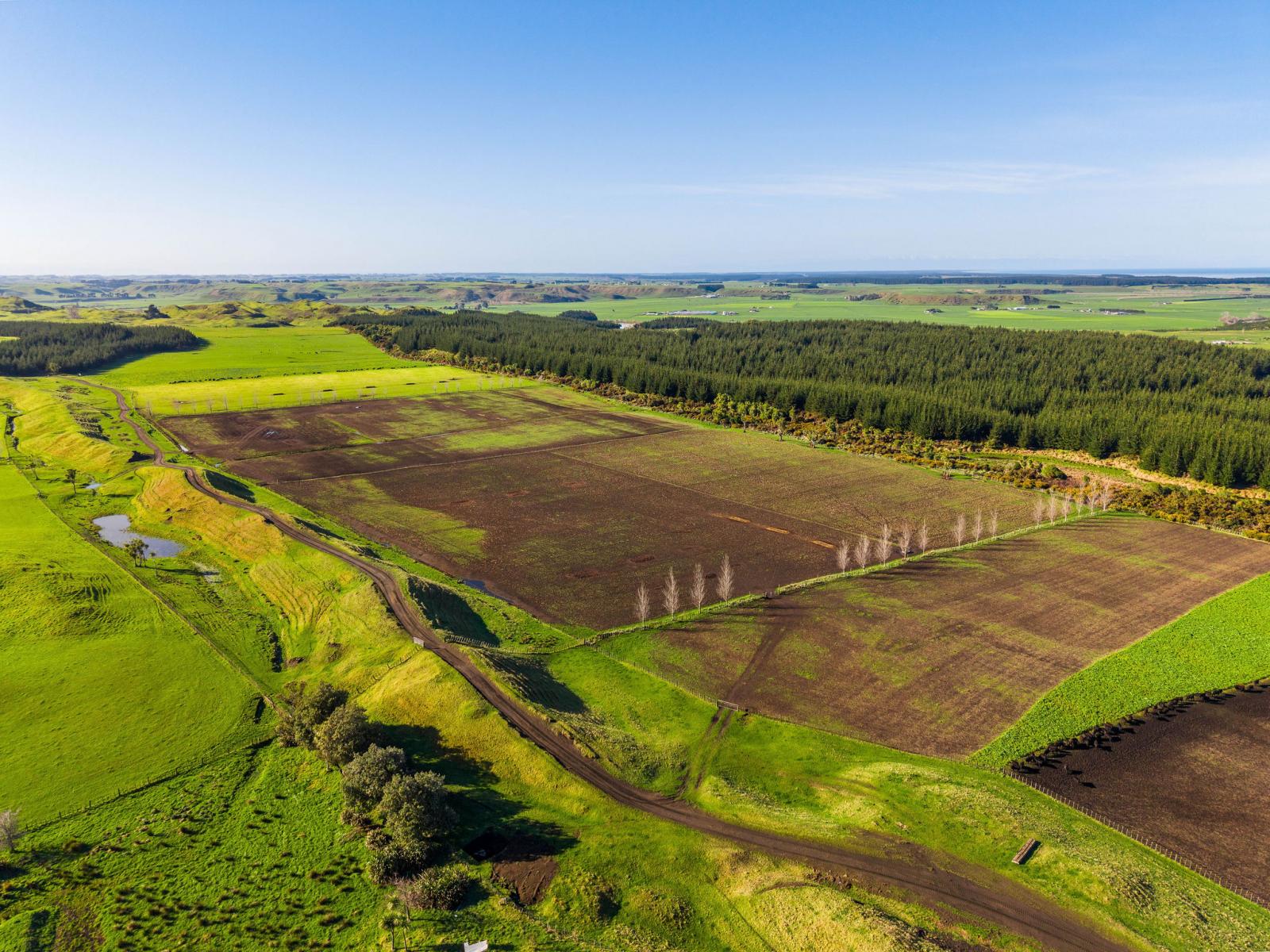Marangai Road, Whangaehu