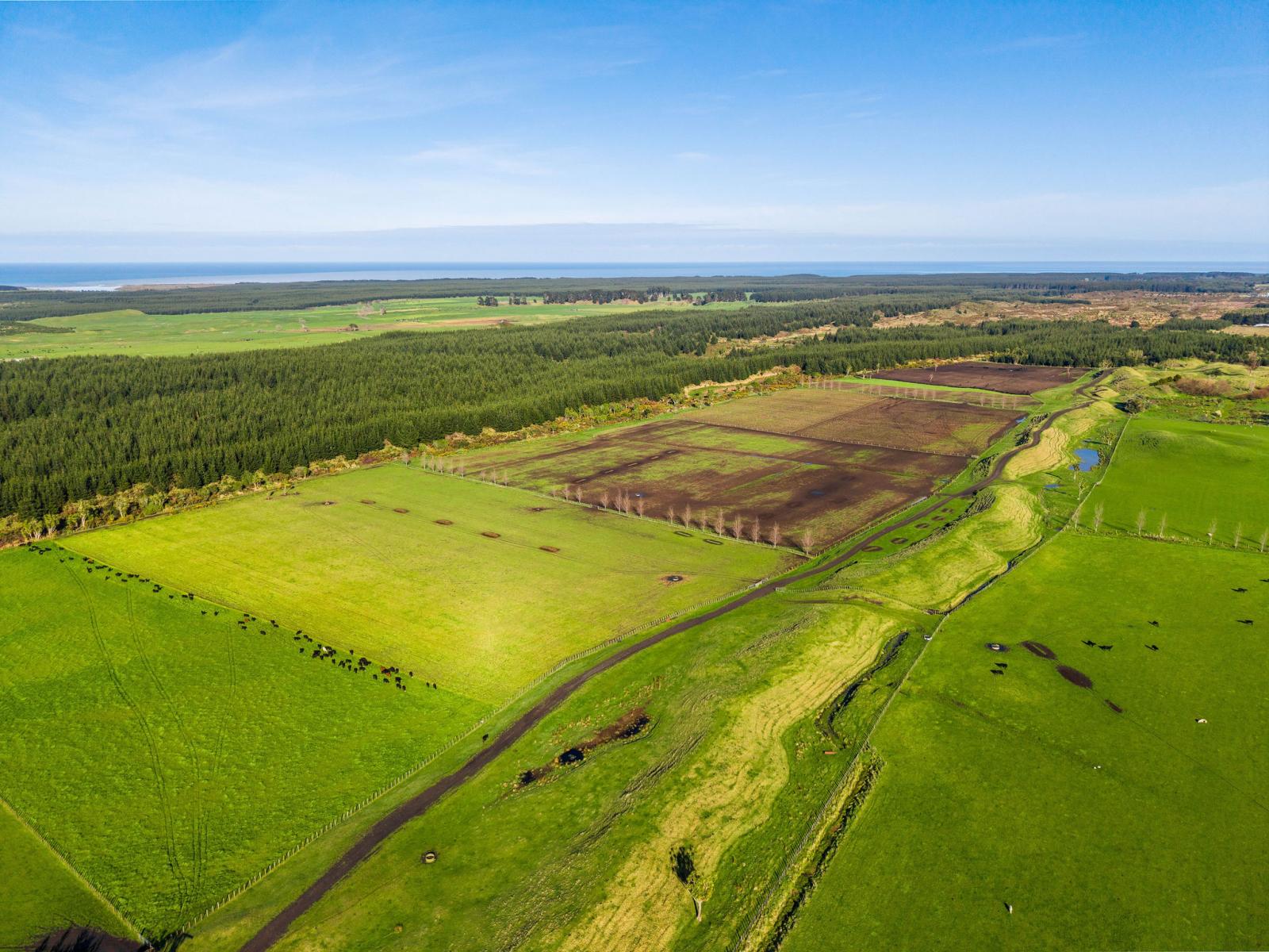 Marangai Road, Whangaehu