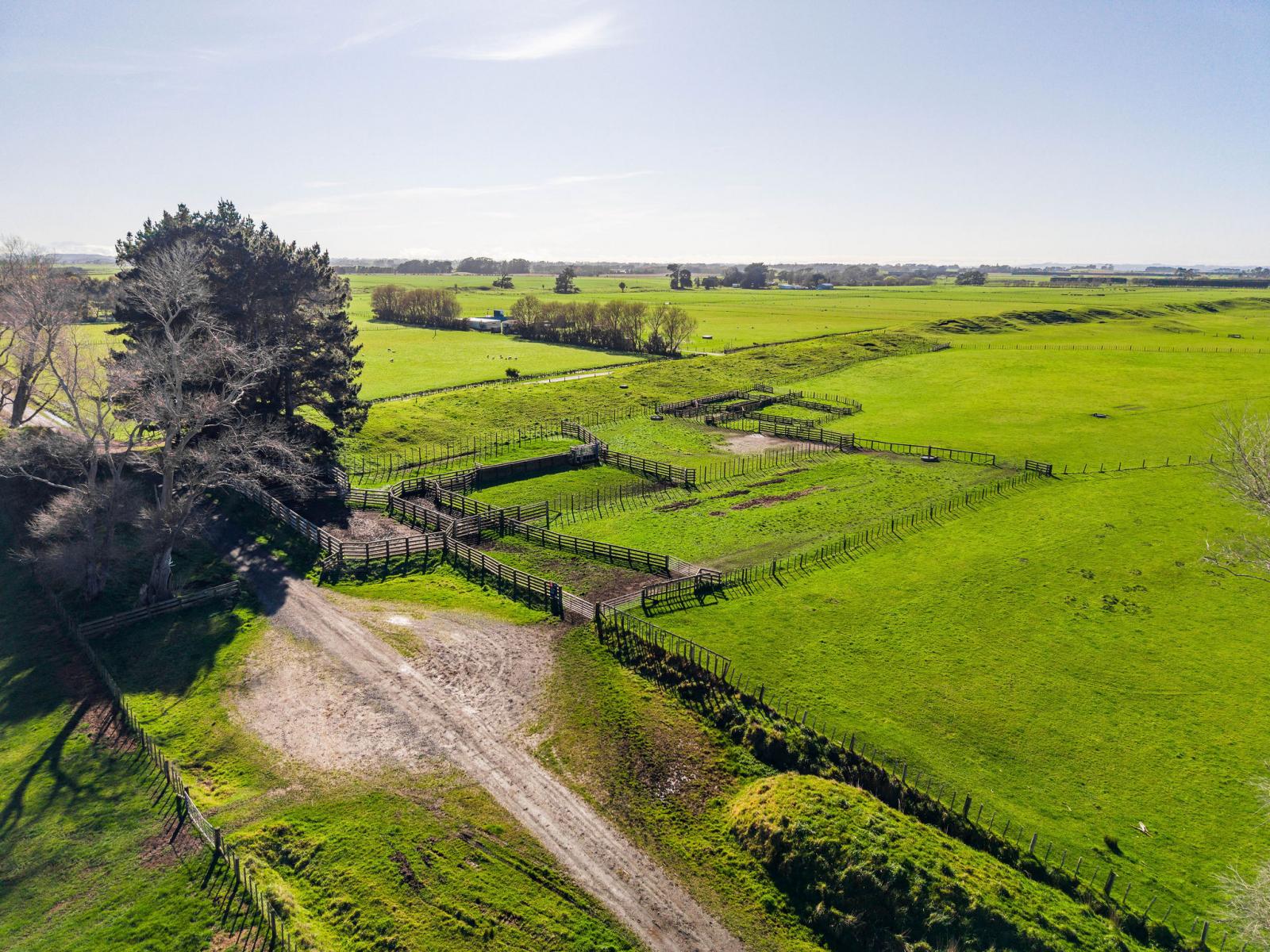 Marangai Road, Whangaehu