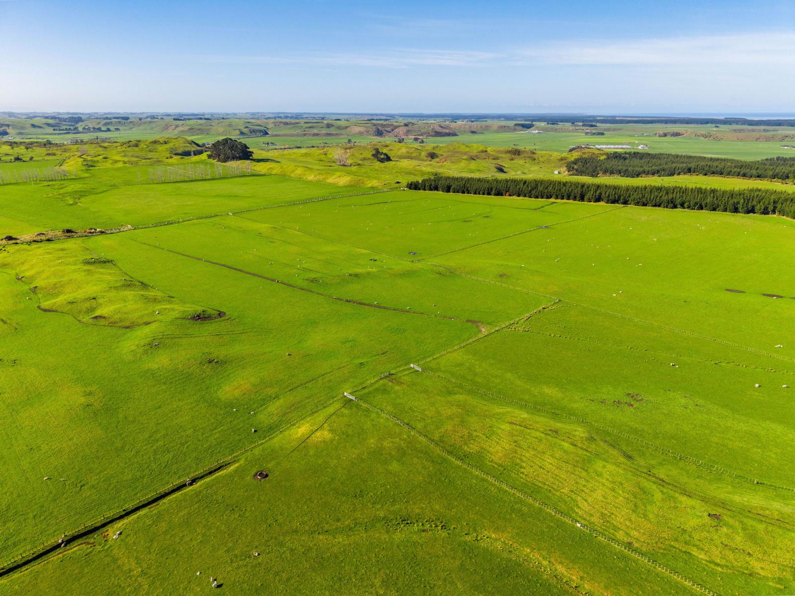 Marangai Road, Whangaehu