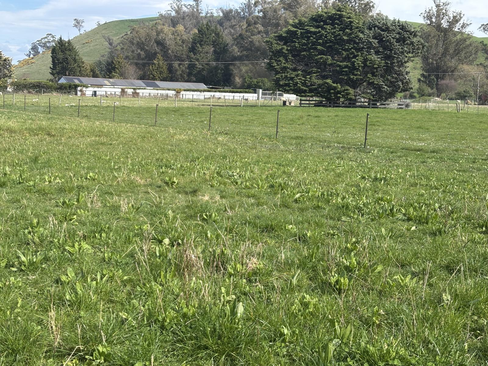 Murray Road, Pukeuri