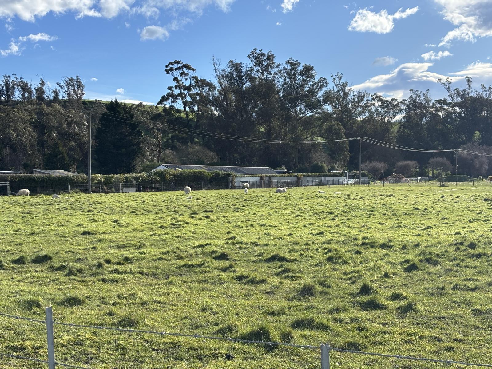 Murray Road, Pukeuri