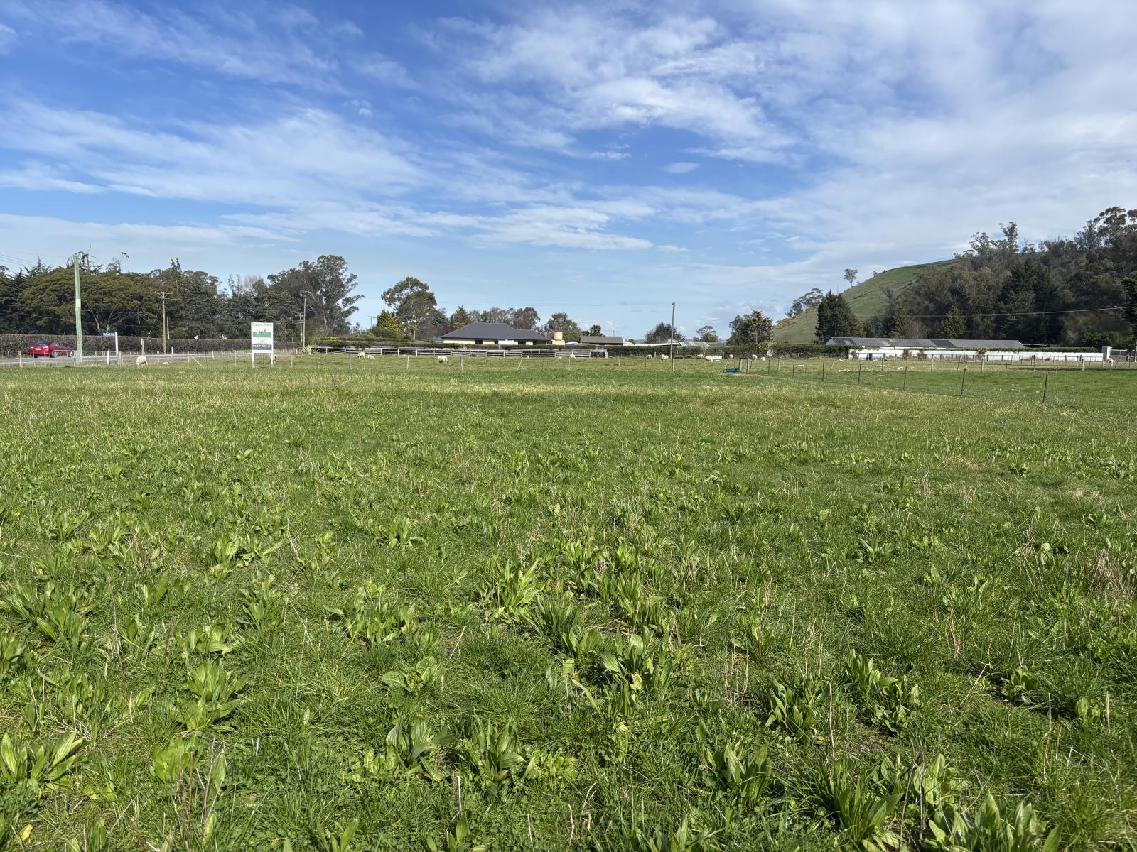 Murray Road, Pukeuri