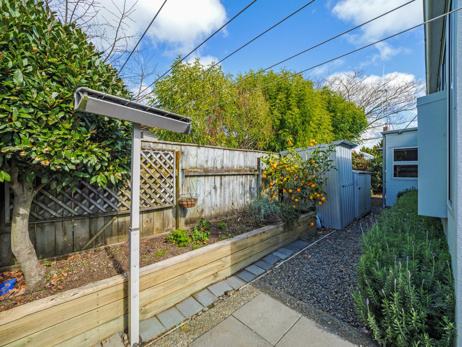 294 Park Road, Hokowhitu