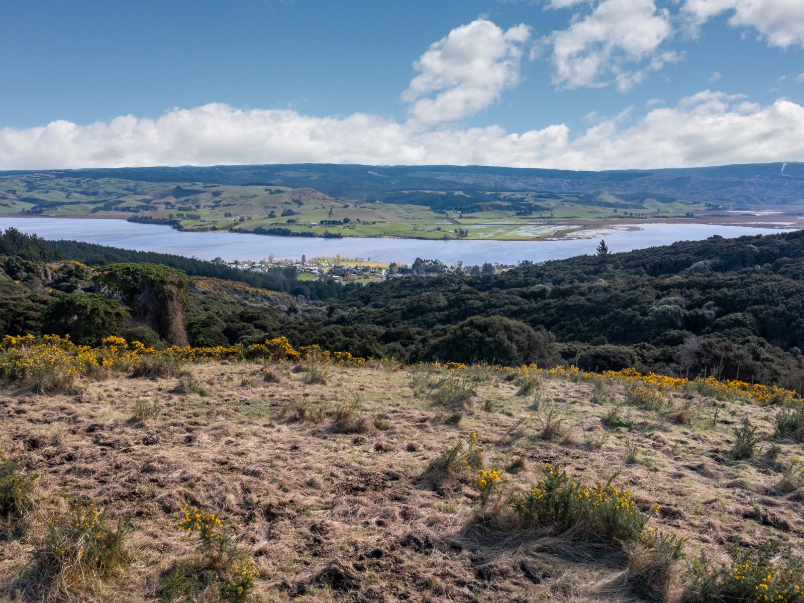 Lot 6 Finlayson Road, Waihola