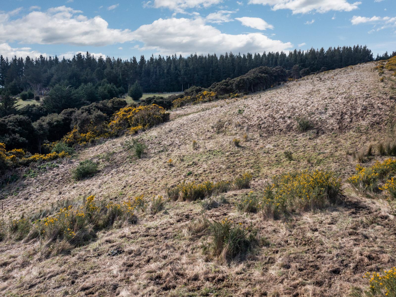 Lot 6 Finlayson Road, Waihola