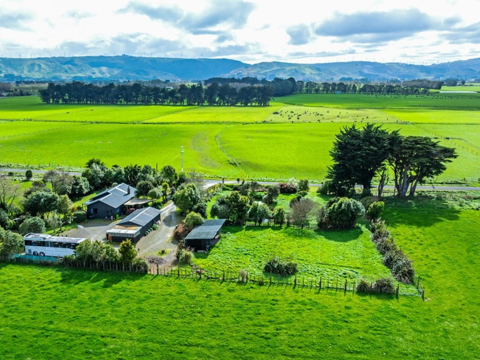 111 Bowman Road, Woodville