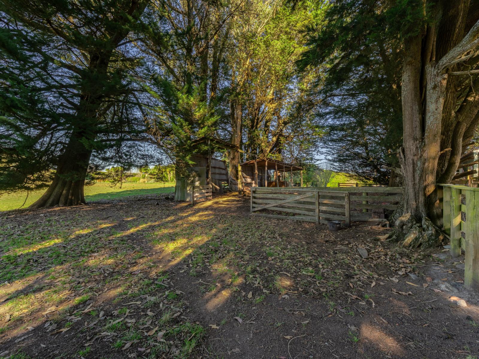 252 Downs Road, Geraldine