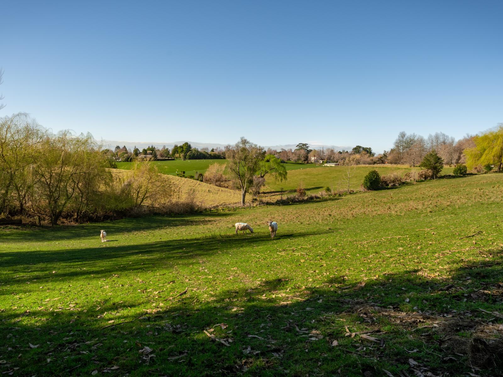 252 Downs Road, Geraldine