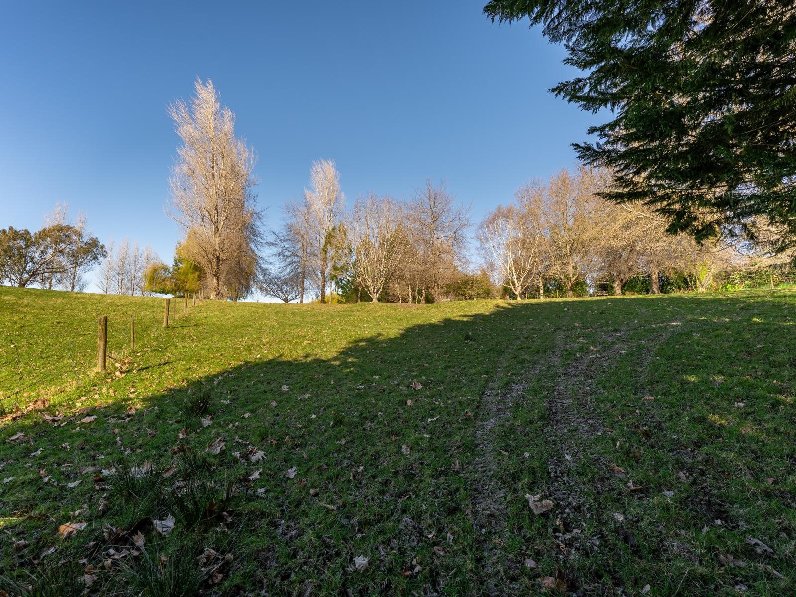 252 Downs Road, Geraldine