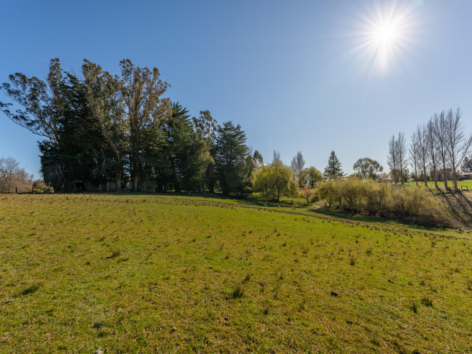 252 Downs Road, Geraldine