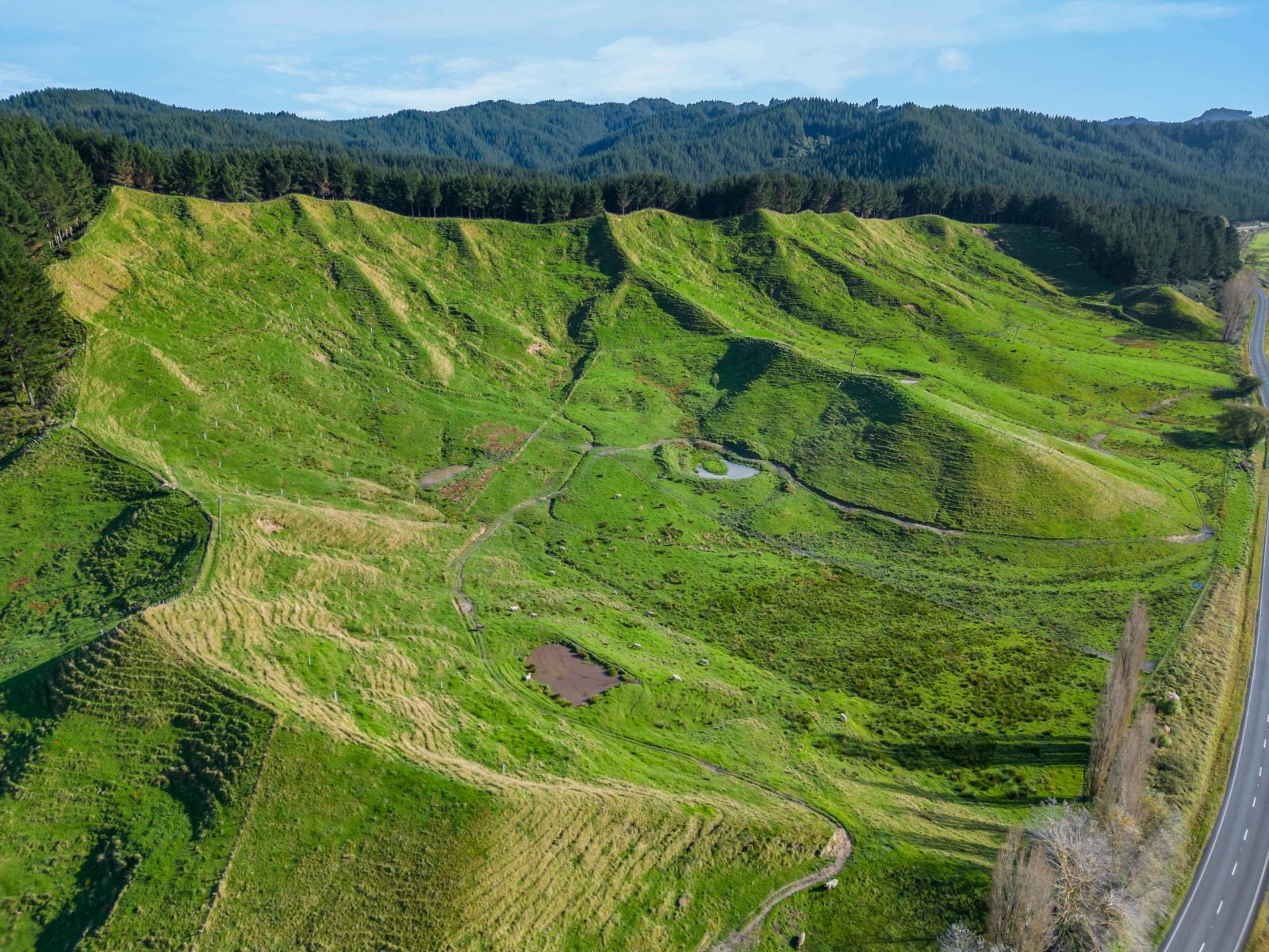 1522 State Highway 2, Wairoa