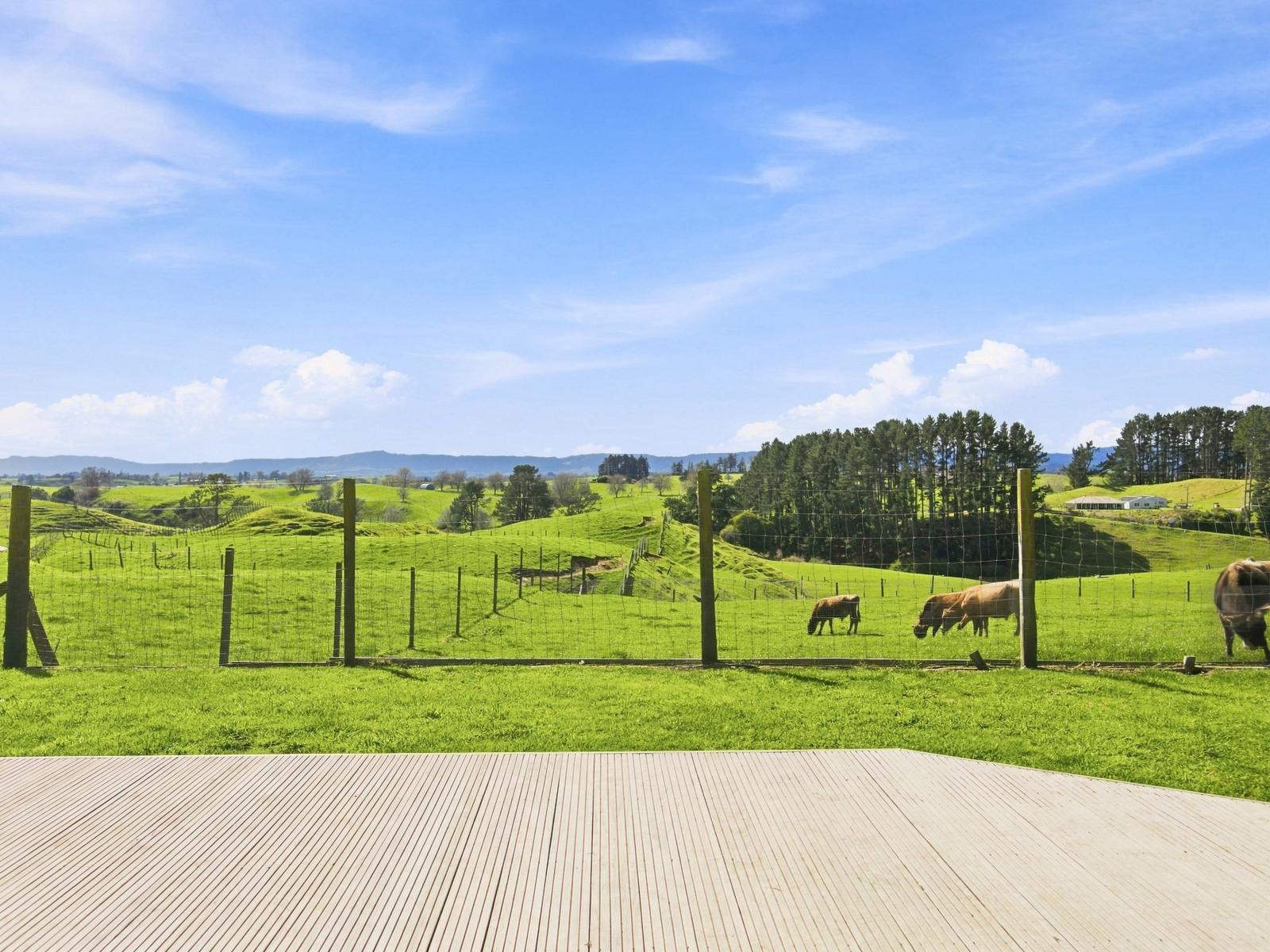 94 Overdale Road, Putaruru
