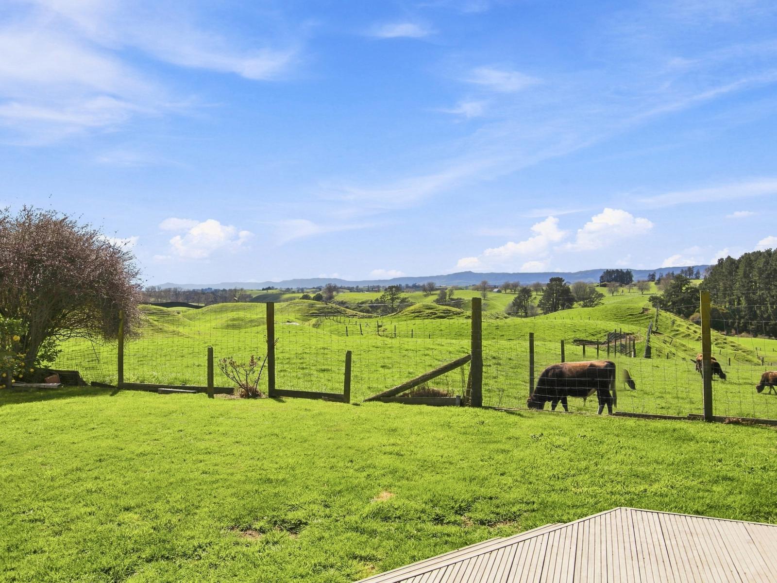 94 Overdale Road, Putaruru