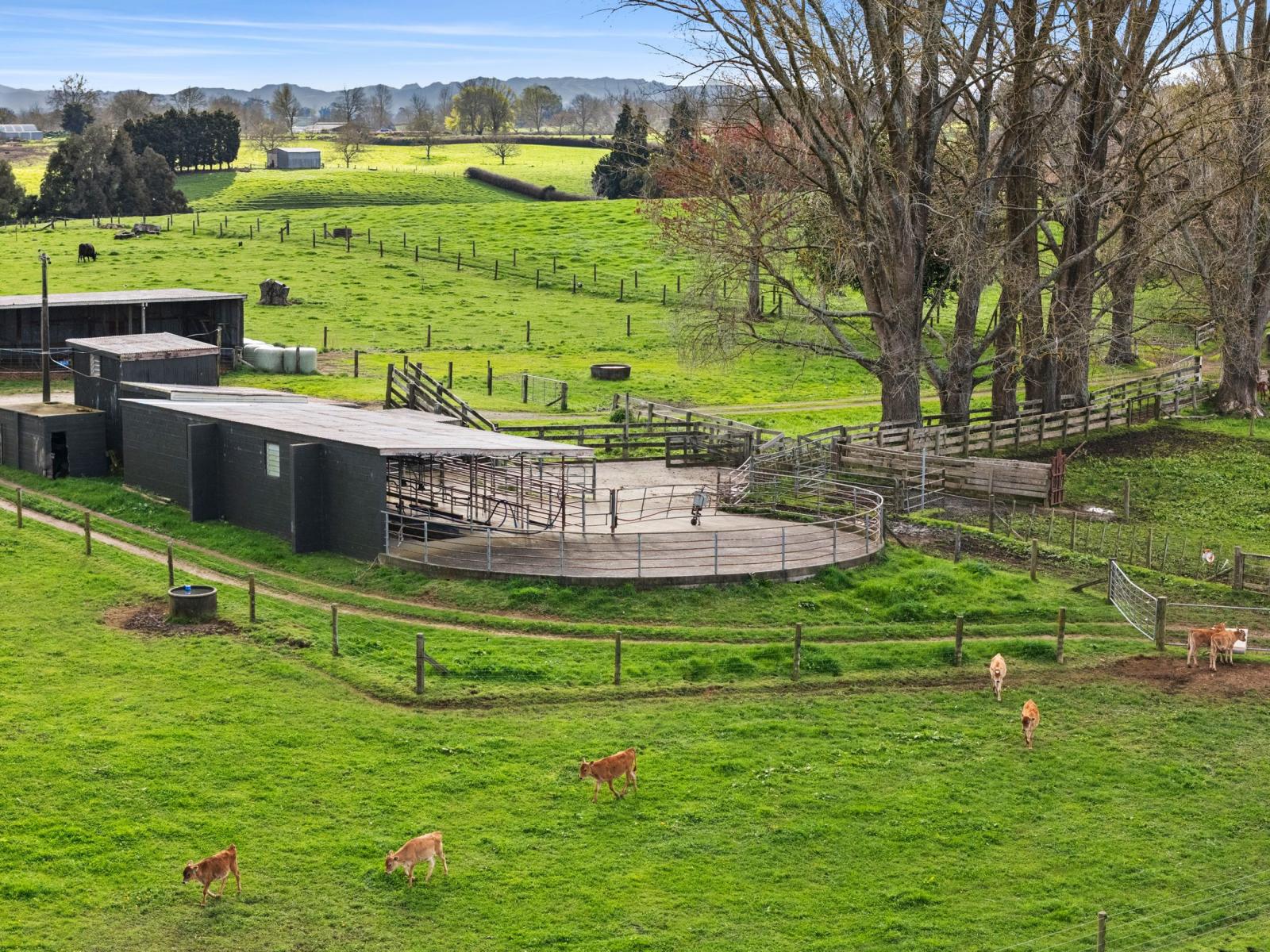 1270 Paterangi Road, Ohaupo