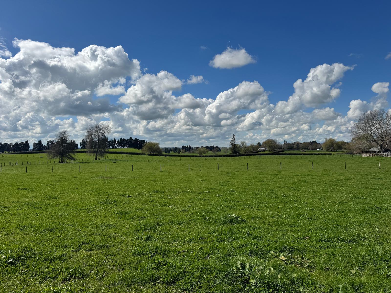 1270 Paterangi Road, Ohaupo