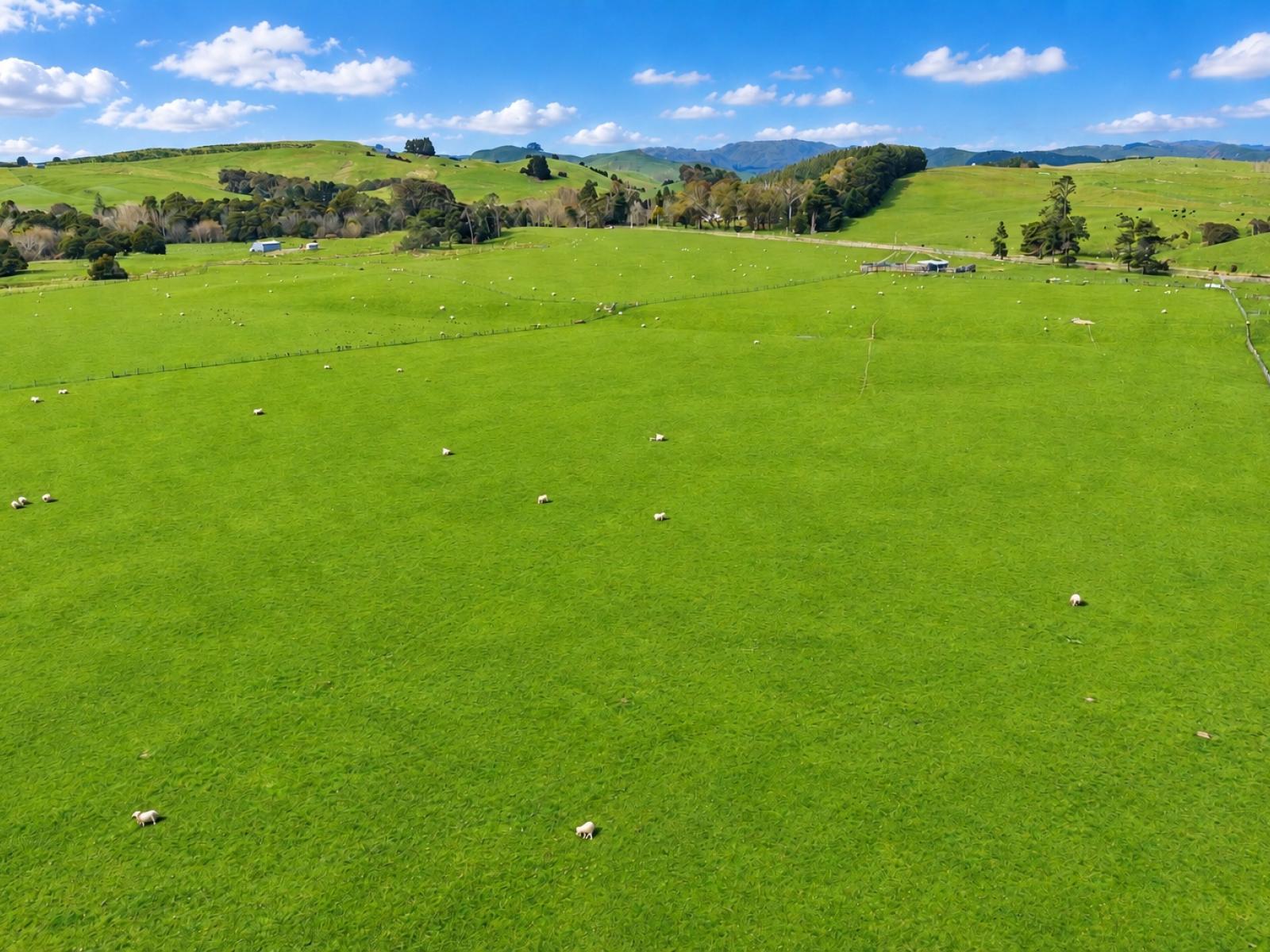 235 Otope Road, Dannevirke