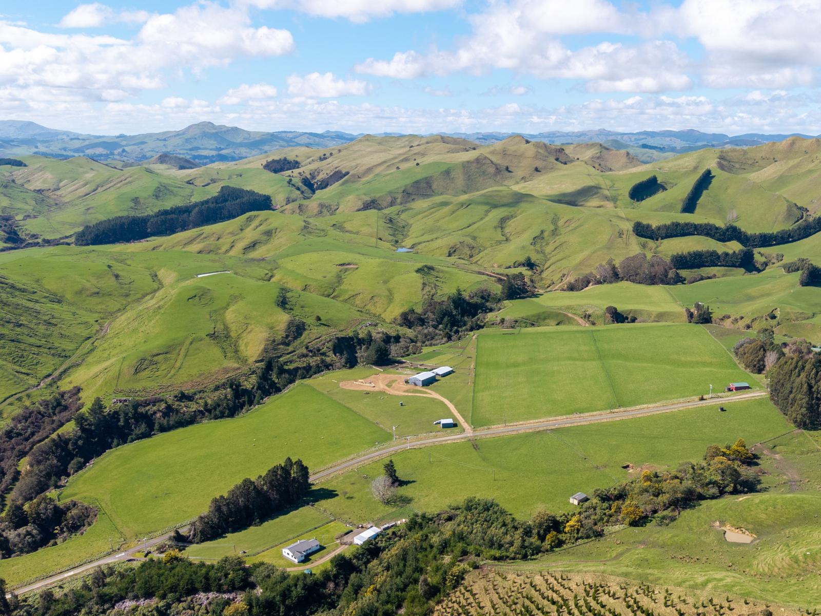 558 Pukeatua Road, Dannevirke
