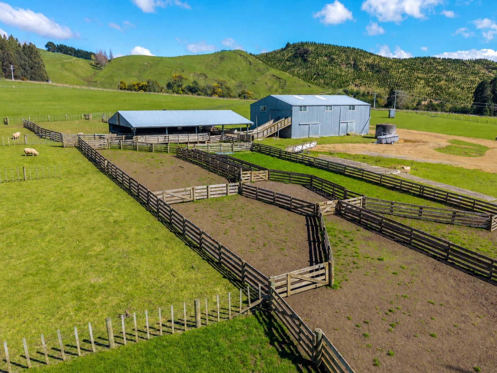 558 Pukeatua Road, Dannevirke